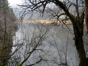 林间静谧湖水风景图