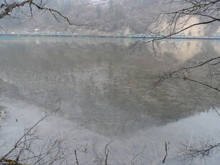 雾中湖畔静谧景象