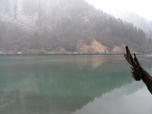 雾中静谧湖水与枯枝