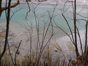 冬日湖边萧瑟景象