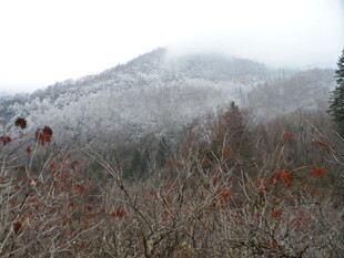 雪覆山林的朦胧景致