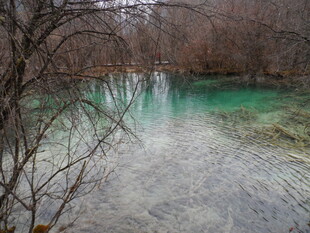 冬日溪边枯树与澄澈绿水