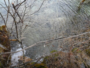 山间清澈溪流潺潺流淌