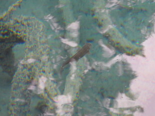 抽象水墨风格的艺术画作