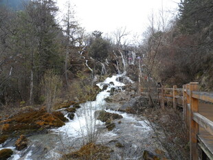 山间溪流旁的木质步道