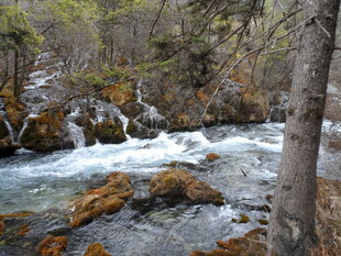 山间溪流 灵动自然之景
