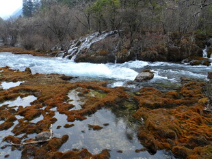 山间溪流与多彩河床景观