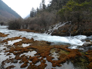 山间溪流 多彩河床美景