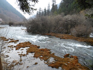 山间溪流冬日景致