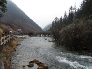 山间湍急溪流景观