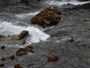 湍急溪流中的褐色岩石