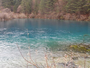 清澈蓝湖与岸边景致