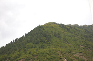 翠绿山峦 植被繁茂之景