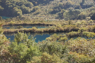 山间幽湖 植被环绕之景