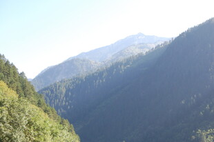 青山巍峨 山林葱郁之景