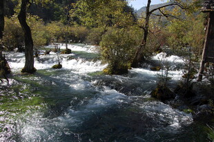 山间湍急溪流风景