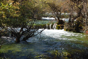山间溪流潺潺的自然美景