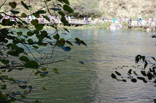 湖畔景致 枝叶掩映的静谧