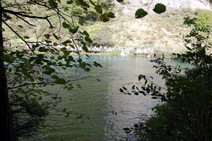 林间静谧湖水景致