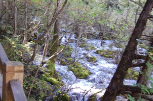 山林间潺潺溪流景观