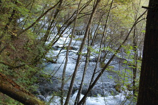 林间溪流瀑布自然美景