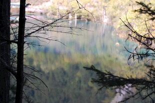 林间湖水倒影美景
