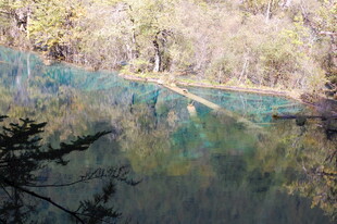 清澈蓝湖与岸边树木倒影