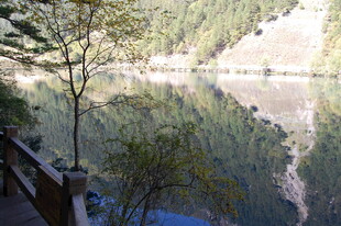 宁静湖景 岸边绿树倒影