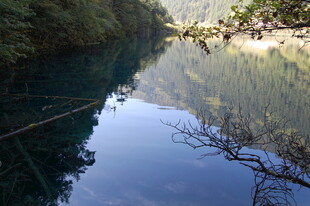 宁静河谷 澄澈碧水映山林