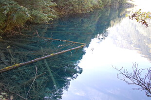 清澈溪谷中的静谧自然景象