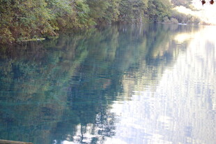 清澈湖水映山林美景