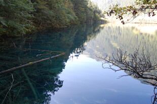 静谧幽潭 倒映自然之美
