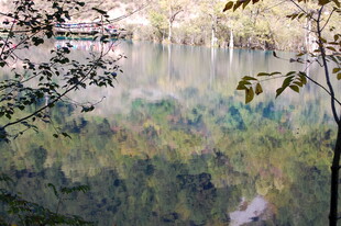 湖畔春景 繁花绿树相映