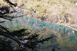九寨沟幽蓝湖水美景
