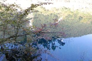 湖畔树影 静谧山水景致