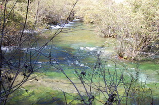 山间溪流 绿意盎然之景