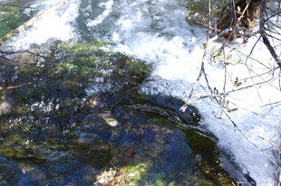 冬日溪流覆薄冰景象