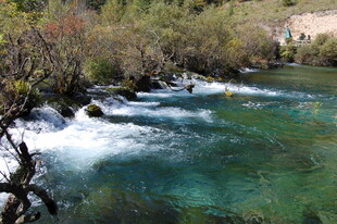 山间清澈溪流美景