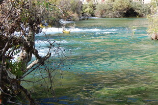 清澈溪流边的自然景致