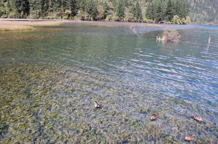 清澈湖水与岸边景致