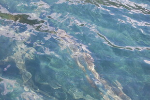 清澈海水的美丽波纹