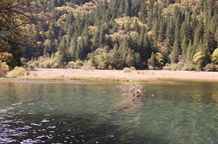 山林环绕的清澈湖水