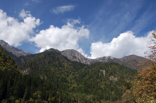 壮丽山景与蓝天绿树