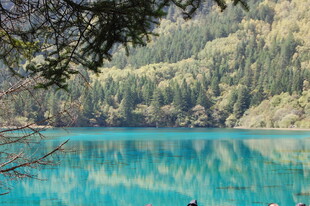 梦幻蓝湖 山林环绕之景