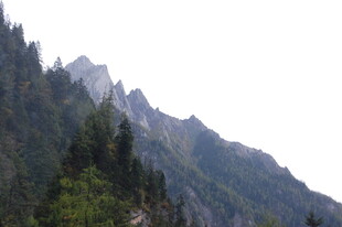 巍峨青山 绿意盎然