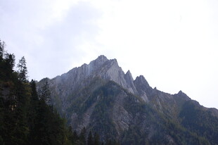 巍峨山峰与茂密山林
