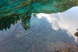 清澈水底的奇幻景象