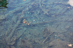 清澈水底的神秘残骸