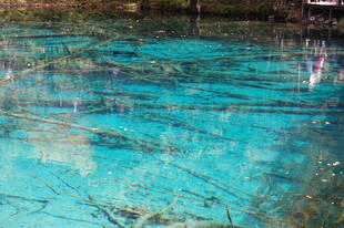 清澈蓝水潭中的水下景象