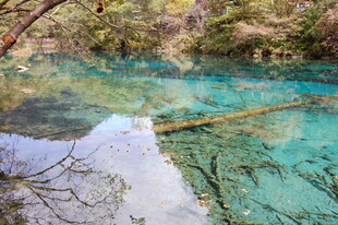 清澈蓝绿相间的自然水域